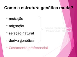 Como a estrutura genética muda? 
• mutação 
• migração 
• seleção natural 
• deriva genética 
• Casamento preferencial 
Causa mudanças nas 
frequências alélicas 
 