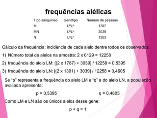 frequências alélicas 
Tipo sanguíneo Genótipo Número de pessoas 
M LMLM 1787 
MN LMLN 3039 
N LNLN 1303 
Cálculo da frequência: incidência de cada alelo dentre todos os observados 
1) Número total de alelos na amostra: 2 x 6129 = 12258 
2) frequência do alelo LM: [(2 x 1787) + 3039] / 12258 = 0,5395 
3) frequência do alelo LN: [(2 x 1301) + 3039] / 12258 = 0,4605 
Se “p” representa a frequência do alelo LM e “q” a do alelo LN, a população 
avaliada apresenta: 
p = 0,5395 q = 0,4605 
Como LM e LN são os únicos alelos desse gene: 
p + q = 1 
 
