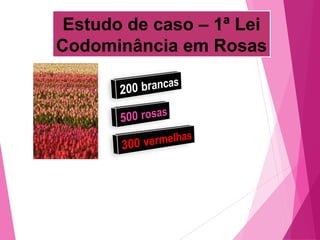 Estudo de caso – 1ª Lei 
Codominância em Rosas 
 