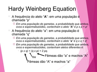 Hardy Weinberg Equation 
 A frequência do alelo “A”: em uma população é 
chamada “p” 
 Em uma população de gametas, a probabilidade que ambos, 
ovos e espermatozóides, contenham o alelo “A” é p x p = p2 
 A frequência do alelo “a”: em uma população é 
chamada “q” 
 Em uma população de gametas, a probabilidade que ambos, 
ovos e espermatozóides, contenham o alelo “a” é q x q = q2 
 Em uma população de gametas, a probabilidade que ambos, 
ovos e espermatozóides, contenham alelos diferentes é: 
 (p x q) + (q x p) = 2 pq. 
ou Fêmeas dão “a” e machos “A” 
Fêmeas dão “A” e machos “a” 
 