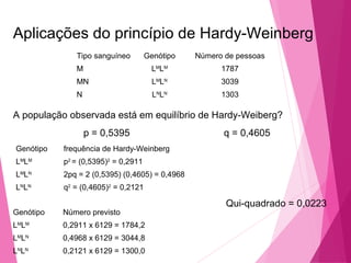 Aplicações do princípio de Hardy-Weinberg 
Tipo sanguíneo Genótipo Número de pessoas 
M LMLM 1787 
MN LMLN 3039 
N LNLN 1303 
A população observada está em equilíbrio de Hardy-Weiberg? 
p = 0,5395 q = 0,4605 
Genótipo frequência de Hardy-Weinberg 
LMLM p2 = (0,5395)2 = 0,2911 
LMLN 2pq = 2 (0,5395) (0,4605) = 0,4968 
LNLN q2 = (0,4605)2 = 0,2121 
Genótipo Número previsto 
LMLM 0,2911 x 6129 = 1784,2 
LMLN 0,4968 x 6129 = 3044,8 
LNLN 0,2121 x 6129 = 1300,0 
Qui-quadrado = 0,0223 
 