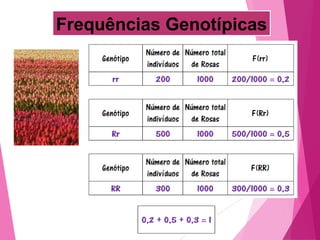 Frequências Genotípicas 
 