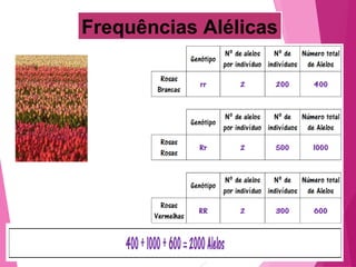 Frequências Alélicas 
 