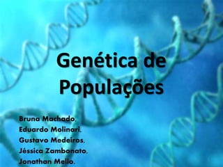 Genética de
Populações
Bruna Machado,
Eduardo Molinari,
Gustavo Medeiros,
Jéssica Zambonato,
Jonathan Mello. 1
 