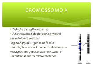 CROMOSSOMO X
∗ Deleção da região Xq22-q23
∗ Alta frequência de deficiência mental
em indivíduos autistas
Região Xq13-q21 – genes da família
neuroliguinas – funcionamento das sinapses
Mutações nos genes NLGN3 e NLGN4 ->
Encontradas em membros afetados
 