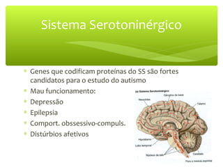 Sistema Serotoninérgico
∗ Genes que codificam proteínas do SS são fortes
candidatos para o estudo do autismo
∗ Mau funcionamento:
∗ Depressão
∗ Epilepsia
∗ Comport. obssessivo-compuls.
∗ Distúrbios afetivos
 