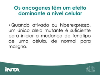 Os oncogenes têm um efeito
dominante a nível celular
• Quando ativado ou hiperexpresso,
um único alelo mutante é suficiente
para iniciar a mudança do fenótipo
de uma célula, de normal para
maligno.
 