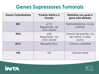 Genes Supressores Tumorais
Genes Controladores Produto Gênico e
Função
Distúrbios nos quais o
gene está afetado
RB1 p110
Regulação do
ciclo celular
Retinoblastoma, ca de
pulmão
TP53 p53
Regulação do
ciclo celular
Câncer de pulmão, Ca
de mama, muitos
outros
DCC Receptor-Dcc Câncer colorretal
VHL Vhl Câncer renal
 