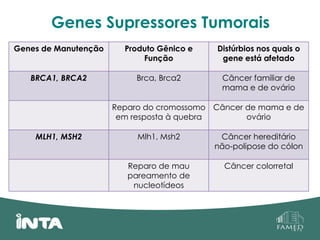Genes Supressores Tumorais
Genes de Manutenção Produto Gênico e
Função
Distúrbios nos quais o
gene está afetado
BRCA1, BRCA2 Brca, Brca2 Câncer familiar de
mama e de ovário
Reparo do cromossomo
em resposta à quebra
Câncer de mama e de
ovário
MLH1, MSH2 Mlh1, Msh2 Câncer hereditário
não-polipose do cólon
Reparo de mau
pareamento de
nucleotídeos
Câncer colorretal
 