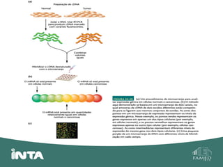 Genética do câncer 14.04.14