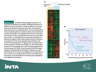 Genética do câncer 14.04.14