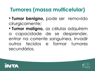 Tumores (massa multicelular)
• Tumor benigno, pode ser removido
cirurgicamente;
• Tumor maligno, as células adquirem
a capacidade de se desprender,
entrar na corrente sanguínea, invadir
outros tecidos e formar tumores
secundários.
 