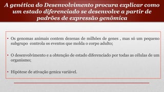 A genética do Desenvolvimento procura explicar como
um estado diferenciado se desenvolve a partir de
padrões de expressão genômica
• Os genomas animais contem dezenas de milhões de genes , mas só um pequeno
subgrupo controla os eventos que molda o corpo adulto;
• O desenvolvimento e a obtenção de estado diferenciado por todas as células de um
organismo;
• Hipótese de ativação genica variável.
 