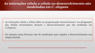 • As interações célula a célula influi na programação transcricional e na designação
das células circundantes durante o desenvolvimento que são moldadas em
C.elegans;
• Os animais usam diversas vias de sinalização para regular o desenvolvimento nas
etapas iniciais.
As interações célula a célula no desenvolvimento são
modeladas em C. elegans
 