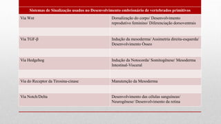 Sistemas de Sinalização usados no Desenvolvimento embrionário de vertebrados primitivos
Via Wnt Dorsalização do corpo/ Desenvolvimento
reprodutivo feminino/ Diferenciação dorsoventrais
Via TGF-β Indução da mesoderma/ Assimetria direita-esquerda/
Desenvolvimento Ósseo
Via Hedgehog Indução da Notocorda/ Somitogênese/ Mesoderma
Intestinal-Visceral
Via do Receptor da Tirosina-cinase Manutenção da Mesoderma
Via Notch/Delta Desenvolvimento das células sanguíneas/
Neurogênese/ Desenvolvimento da retina
 