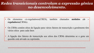 • Os elementos cis-reguladores(CRES), também chamados módulos cis –
reguladores(CRMs).
• Os CRMs contém sítios de ligação para vários fatores de transcrição e geralmente têm
vários sítios para cada fator.
• A ligação dos fatores de transcrição aos sítios dos CRMs determina se o gene em
questão está ativado ou reprimido.
Redes transicionais controlam a expressão gênica
no desenvolvimento.
 