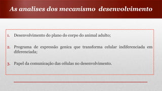 1. Desenvolvimento do plano do corpo do animal adulto;
2. Programa de expressão genica que transforma celular indiferenciada em
diferenciada;
3. Papel da comunicação das células no desenvolvimento.
As analises dos mecanismo desenvolvimento
 
