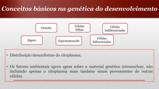 • Distribuição desuniforme do citoplasma;
• Os fatores ambientais agora agem sobre o material genético intranuclear, não
incluindo apenas o citoplasma mais também sinais provenientes de outras
células.
Conceitos básicos na genética do desenvolvimento
Zigoto
Ovócito
Espermatozoide
Células
Filhas
Células
Diferenciadas
Células
Indiferenciadas
 