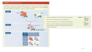 Genética (dominância incompleta)