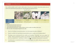 Genética (dominância incompleta)