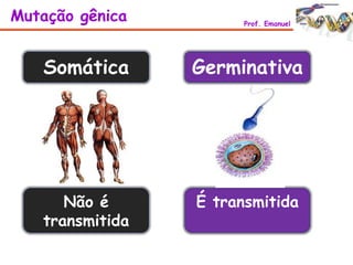 Somática Germinativa
Não é
transmitida
É transmitida
Mutação gênica Prof. Emanuel
 