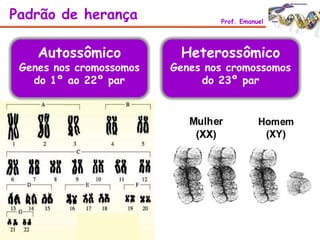 Padrão de herança Prof. Emanuel
Autossômico
Genes nos cromossomos
do 1º ao 22º par
Heterossômico
Genes nos cromossomos
do 23º par
 