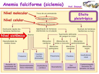 Anemia falciforme (siclemia) Prof. Emanuel
Efeito
pleiotrópico
Nível molecular
Nível celular
Nível sistêmico
 
