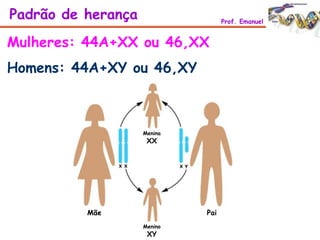 Mulheres: 44A+XX ou 46,XX
Homens: 44A+XY ou 46,XY
PaiMãe
Menino
XY
Menina
XX
Padrão de herança Prof. Emanuel
 