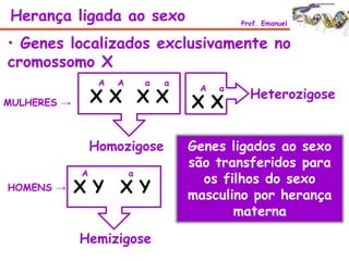 • Genes localizados exclusivamente no
cromossomo X
MULHERES →
A
HOMENS →
Genes ligados ao sexo
são transferidos para
os filhos do sexo
masculino por herança
materna
Herança ligada ao sexo Prof. Emanuel
X
A
X
a
X
a
X
A
X
a
X
A
X Y
a
X Y
Homozigose
Heterozigose
Hemizigose
 