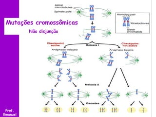 Prof.
Emanuel
Mutações cromossômicas
Não disjunção
 