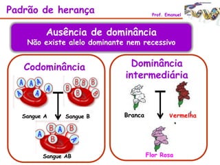 Padrão de herança Prof. Emanuel
Ausência de dominância
Não existe alelo dominante nem recessivo
Codominância
Sangue A
Dominância
intermediária
Branca Vermelha
Flor Rosa
Sangue B
Sangue AB
 
