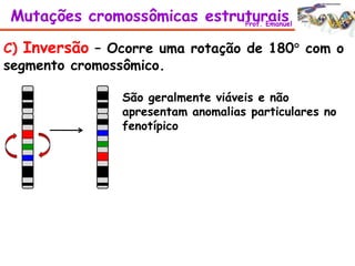 C) Inversão – Ocorre uma rotação de 180 com o
segmento cromossômico.
São geralmente viáveis e não
apresentam anomalias particulares no
fenotípico
Mutações cromossômicas estruturaisProf. Emanuel
 