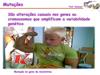 São alterações casuais nos genes ou
cromossomos que amplificam a variabilidade
genética
Mutações Prof. Emanuel
Mutação no gene da miostatina
 