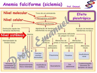Anemia falciforme (siclemia) Prof. Emanuel
Efeito
pleiotrópico
Nível molecular
Nível celular
Nível sistêmico
 