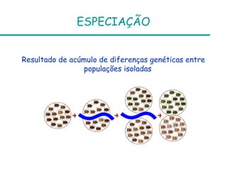 ESPECIAÇÃO
Resultado de acúmulo de diferenças genéticas entre
populações isoladas
 