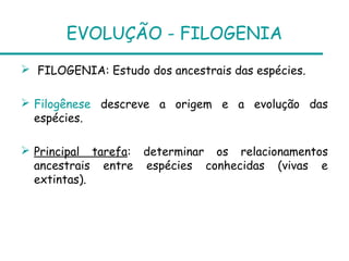 EVOLUÇÃO - FILOGENIA
 FILOGENIA: Estudo dos ancestrais das espécies.

 Filogênese descreve a origem e a evolução das
  espécies.

 Principal tarefa: determinar os relacionamentos
  ancestrais entre espécies conhecidas (vivas e
  extintas).
 