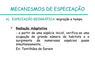 MECANISMOS DE ESPECIAÇÃO

A) ESPECIAÇÃO GEOGRÁFICA: migração e tempo.

   Radiação Adaptativa
    - a partir de uma espécie inicial, verifica-se uma
    ocupação de grande número de habitats e o
    surgimento de numerosas espécies quase
    simultaneamente.
    Ex: Tentilhões de Darwin
 