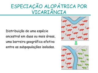 ESPECIAÇÃO ALOPÁTRICA POR
          VICARIÂNCIA


Distribuição de uma espécie
ancestral em duas ou mais áreas,
uma barreira geográfica efetiva
entre as subpopulações isoladas.
 