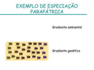 EXEMPLO DE ESPECIAÇÃO
    PARAPÁTRICA


            Gradiente ambiental




            Gradiente genético
 
