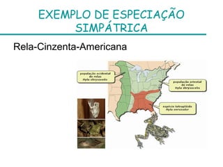 EXEMPLO DE ESPECIAÇÃO
          SIMPÁTRICA
Rela-Cinzenta-Americana
 