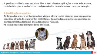 Ciências Naturais 9.º ano | Capítulo 3.2 – Genética e hereditariedade
Capítulo 3.2 – Genética e hereditariedade
3. Modificação de espécies
Ao longo dos anos, o ser humano tem vindo a alterar várias espécies para seu próprio
benefício, através de cruzamentos controlados. Quase todas as espécies de animais e de
plantas domesticadas foram alteradas pelo ser humano.
As raças de cães são exemplos desta alteração.
A genética – ciência que estuda o ADN – tem diversas aplicações na sociedade atual,
contribuindo para a melhoria das condições de vida do ser humano, como por exemplo:
 