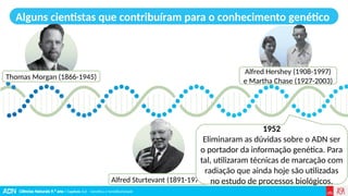 Ciências Naturais 9.º ano | Capítulo 3.2 – Genética e hereditariedade
Alguns cientistas que contribuíram para o conhecimento genético
Thomas Morgan (1866-1945)
Alfred Sturtevant (1891-1970)
1952
Eliminaram as dúvidas sobre o ADN ser
o portador da informação genética. Para
tal, utilizaram técnicas de marcação com
radiação que ainda hoje são utilizadas
no estudo de processos biológicos.
Alfred Hershey (1908-1997)
e Martha Chase (1927-2003)
 