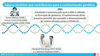 Ciências Naturais 9.º ano | Capítulo 3.2 – Genética e hereditariedade
Alguns cientistas que contribuíram para o conhecimento genético
1961
Estudaram o processo pelo qual o ADN é utilizado
na formação de proteínas. O conhecimento deste
processo permitiu, por exemplo, o desenvolvimento
de vacinas eficazes contra a COVID-19.
James Watson (1928-),
Francis Crick (1916-2004)
e Rosalind Franklin (1920-1958)
Marshall Nirenberg (1927-2010)
e J. Heinrich Matthaei (1929-)
 