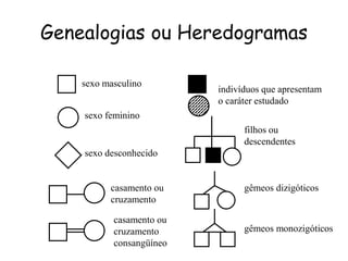 Genealogias ou Heredogramas
sexo masculino
sexo feminino
sexo desconhecido
casamento ou
cruzamento
casamento ou
cruzamento
consangüíneo
indivíduos que apresentam
o caráter estudado
filhos ou
descendentes
gêmeos dizigóticos
gêmeos monozigóticos
 