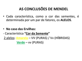 • Cada característica, como a cor das sementes, é
determinada por um par de fatores, os ALELOS.
• No caso das Ervilhas:
- Característica “Cor da Semente”
2 alelos: Amarela – VV (PURAS) / Vv (HÍBRIDAS)
Verde – vv (PURAS)
AS CONCLUSÕES DE MENDEL
 