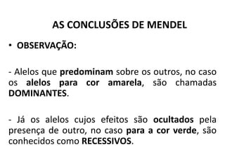 • OBSERVAÇÃO:
- Alelos que predominam sobre os outros, no caso
os alelos para cor amarela, são chamadas
DOMINANTES.
- Já os alelos cujos efeitos são ocultados pela
presença de outro, no caso para a cor verde, são
conhecidos como RECESSIVOS.
AS CONCLUSÕES DE MENDEL
 