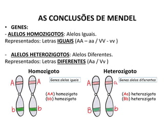AS CONCLUSÕES DE MENDEL
• GENES:
- ALELOS HOMOZIGOTOS: Alelos Iguais.
Representados: Letras IGUAIS (AA – aa / VV - vv )
- ALELOS HETEROZIGOTOS: Alelos Diferentes.
Representados: Letras DIFERENTES (Aa / Vv )
 