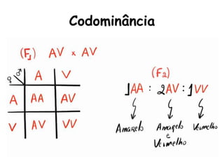 Codominância
 
