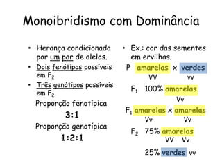 Monoibridismo com Dominância
• Herança condicionada
por um par de alelos.
• Dois fenótipos possíveis
em F2.
• Três genótipos possíveis
em F2.
Proporção fenotípica
3:1
Proporção genotípica
1:2:1
• Ex.: cor das sementes
em ervilhas.
P amarelas x verdes
F1 100% amarelas
F1 amarelas x amarelas
F2 75% amarelas
25% verdes
VV vv
Vv
Vv Vv
Vv
VV
vv
 