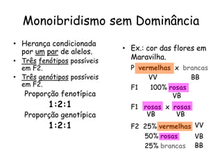 Monoibridismo sem Dominância
• Herança condicionada
por um par de alelos.
• Três fenótipos possíveis
em F2.
• Três genótipos possíveis
em F2.
Proporção fenotípica
1:2:1
Proporção genotípica
1:2:1
• Ex.: cor das flores em
Maravilha.
P vermelhas x brancas
F1 100% rosas
F1 rosas x rosas
F2 25% vermelhas
50% rosas
25% brancas
VV BB
VB
VB VB
VV
VB
BB
 